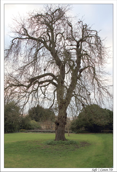 2011 - 03 - Cambridge 093